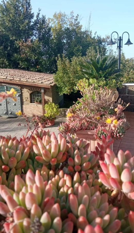 Santo Stefano del Sole La Casa Sull'Aia,Av B&B 외부 사진