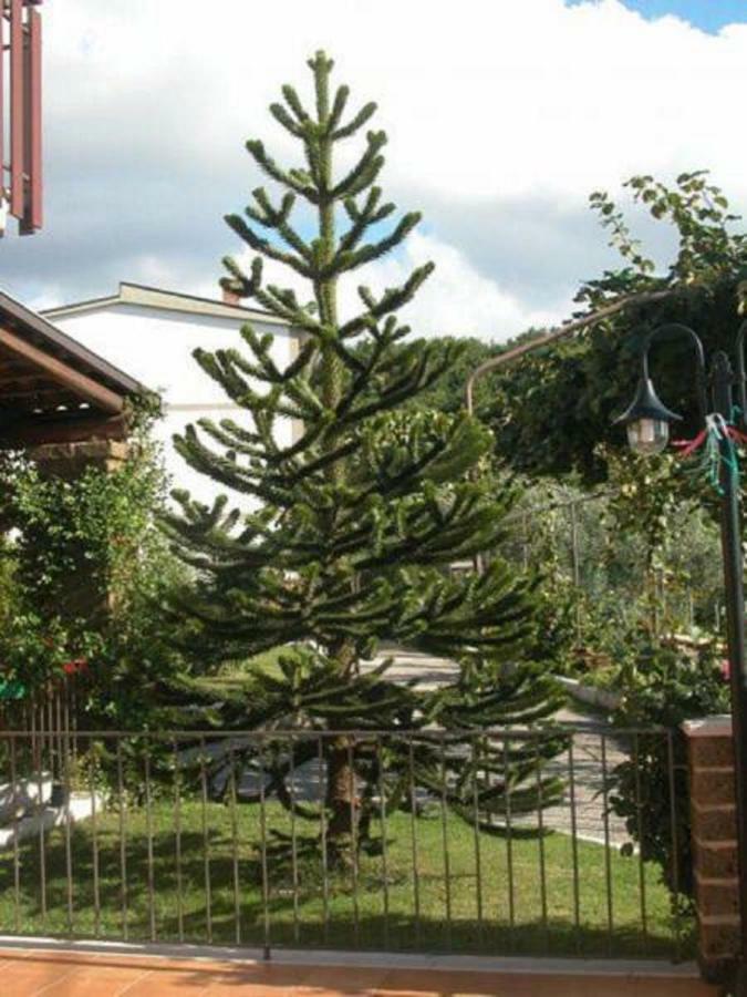 Santo Stefano del Sole La Casa Sull'Aia,Av B&B 외부 사진